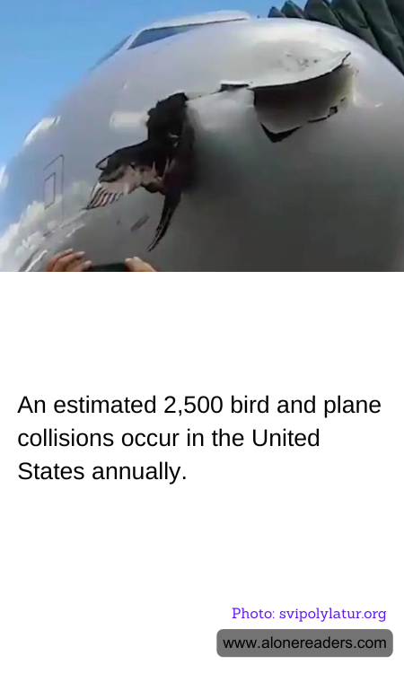 General Knowledge Learning Cards