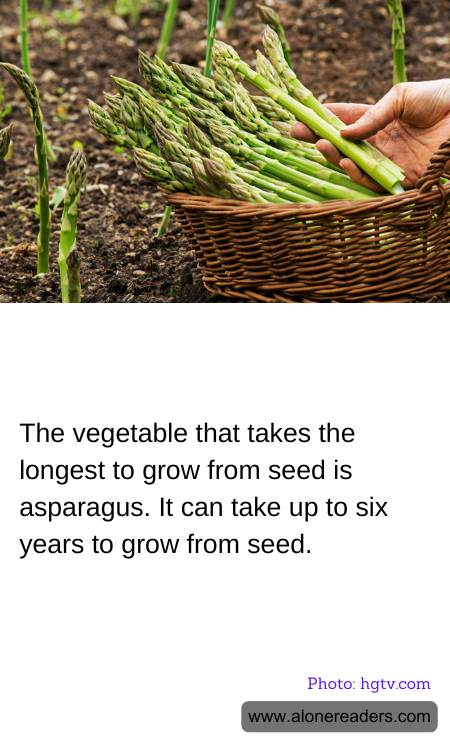 General Knowledge Learning Cards