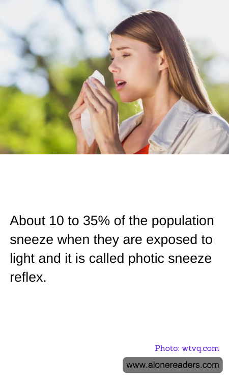 General Knowledge Learning Cards