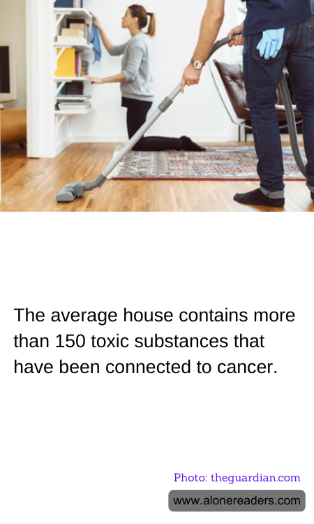 General Knowledge Learning Cards