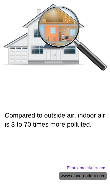 General Knowledge Learning Cards