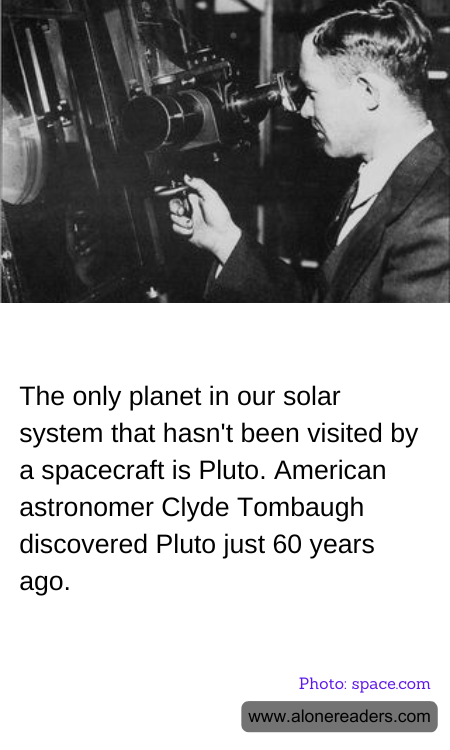 General Knowledge Learning Cards