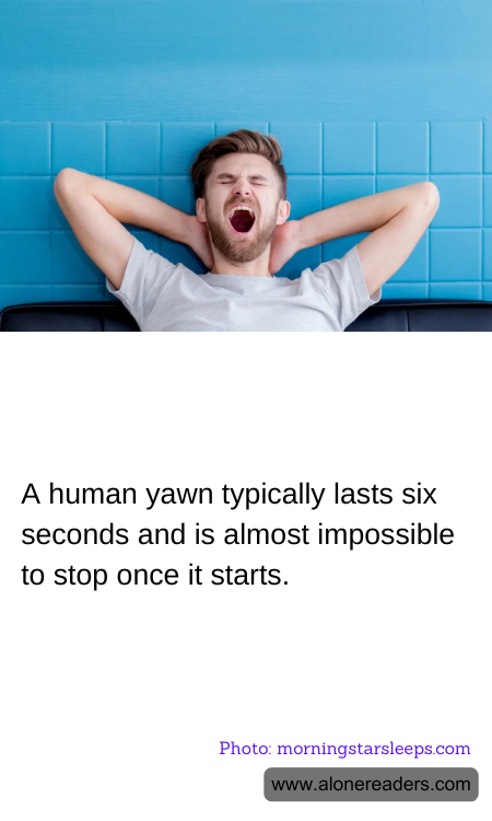 General Knowledge Learning Cards