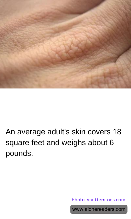 General Knowledge Learning Cards