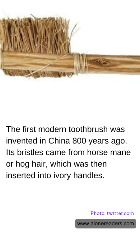 General Knowledge Learning Cards