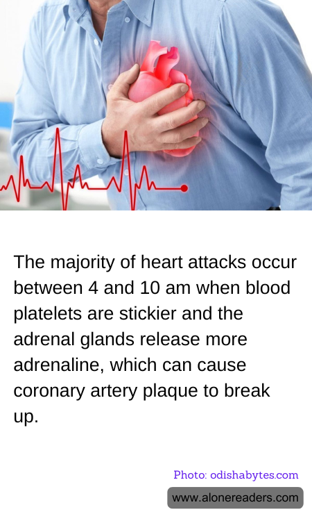 General Knowledge Learning Cards