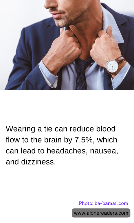 General Knowledge Learning Cards