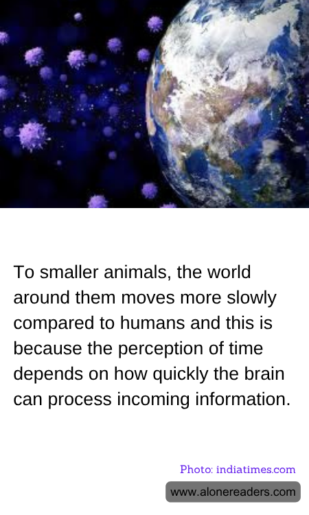 General Knowledge Learning Cards