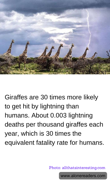 General Knowledge Learning Cards