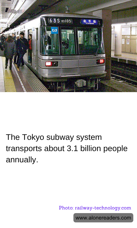 General Knowledge Learning Cards