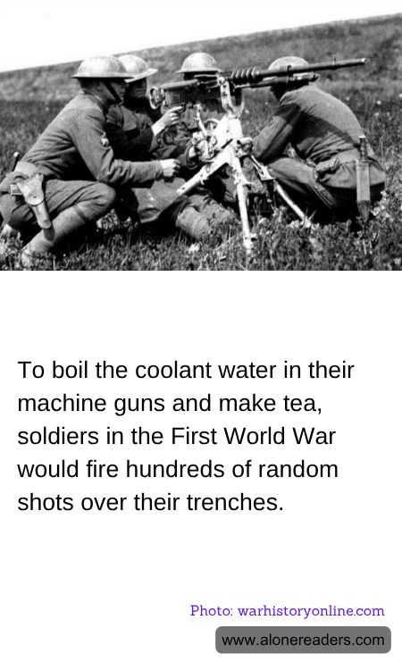 General Knowledge Learning Cards