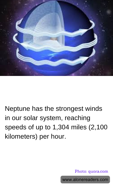 General Knowledge Learning Cards