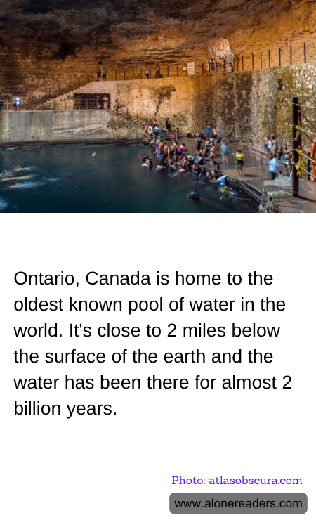 General Knowledge Learning Cards