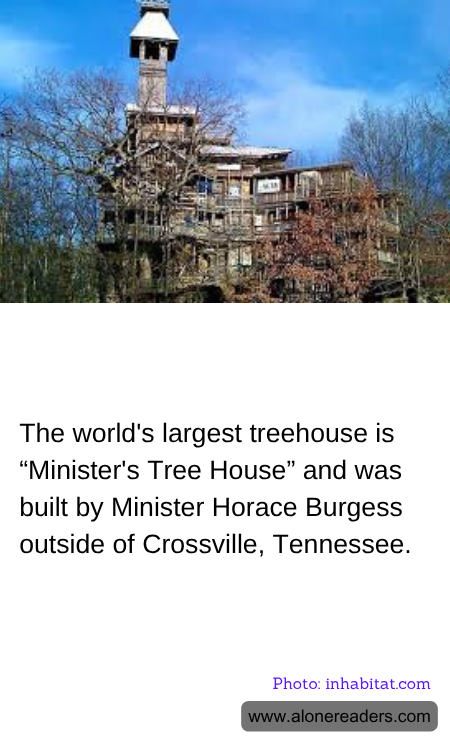 General Knowledge Learning Cards