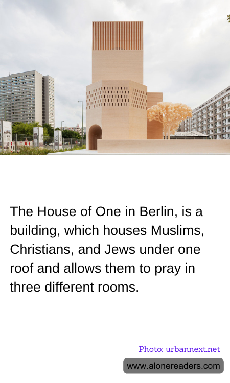 General Knowledge Learning Cards