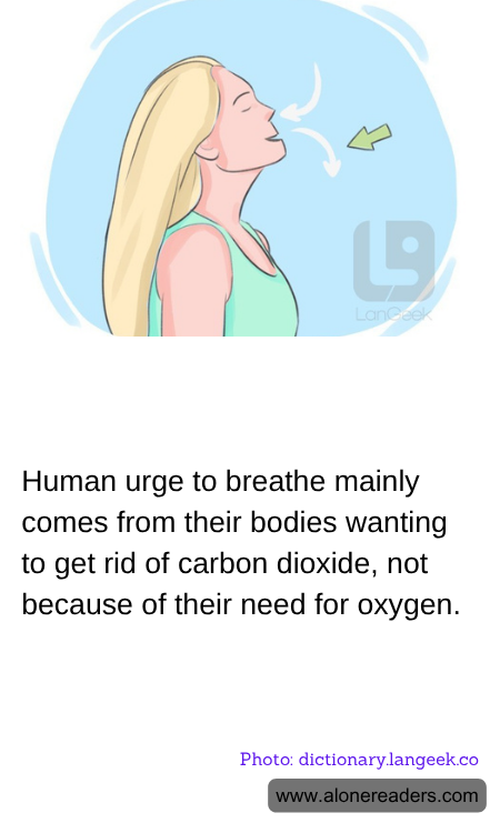 General Knowledge Learning Cards