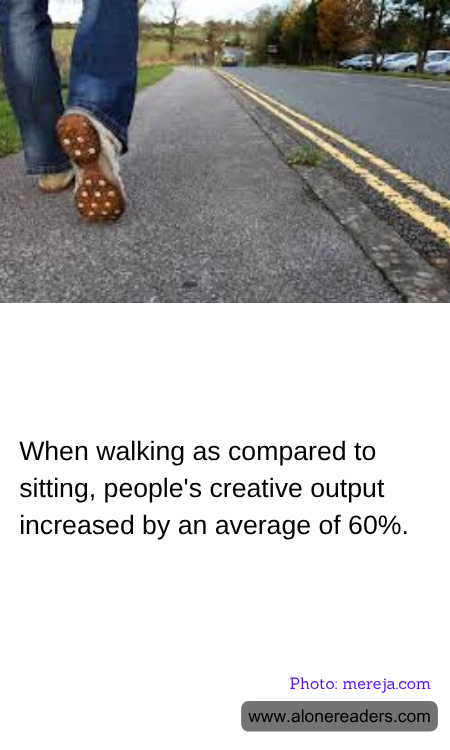 General Knowledge Learning Cards