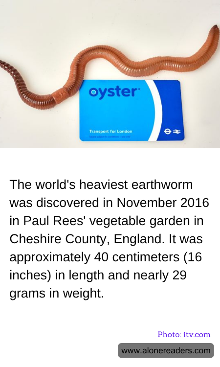 General Knowledge Learning Cards