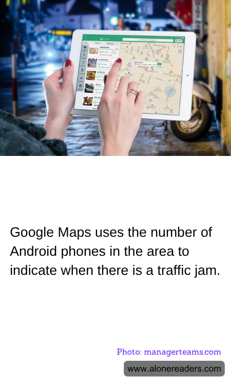 General Knowledge Learning Cards