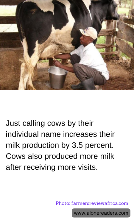 General Knowledge Learning Cards