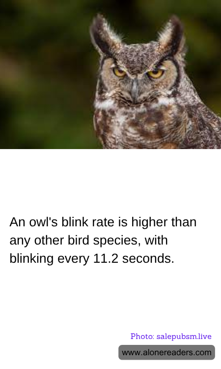 General Knowledge Learning Cards