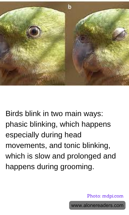 General Knowledge Learning Cards