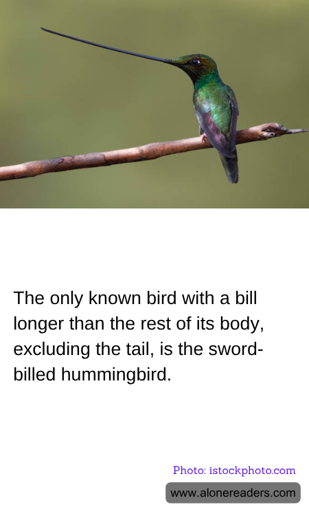 General Knowledge Learning Cards