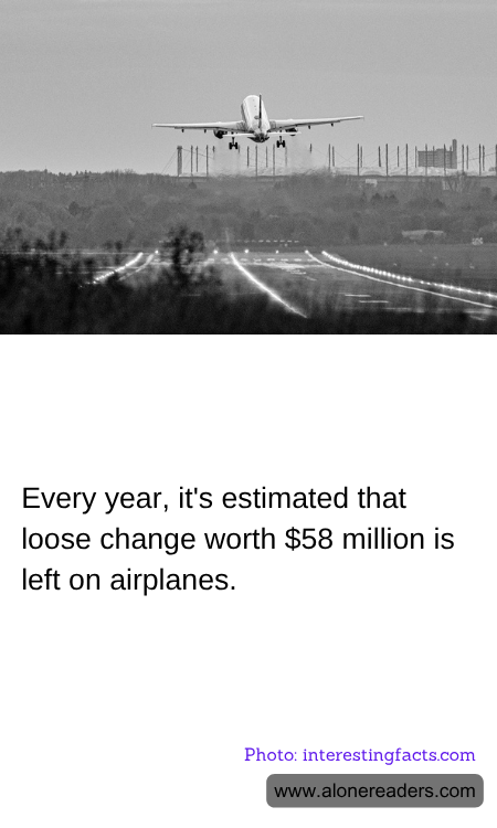 General Knowledge Learning Cards