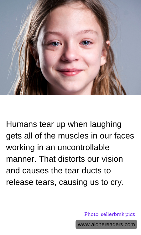 General Knowledge Learning Cards