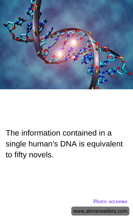 General Knowledge Learning Cards