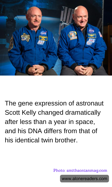 General Knowledge Learning Cards