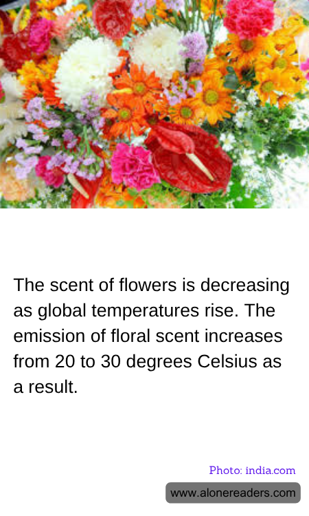 General Knowledge Learning Cards