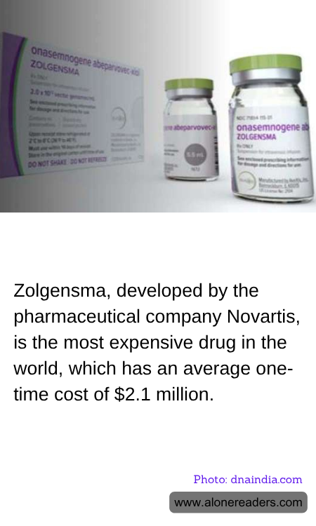 General Knowledge Learning Cards