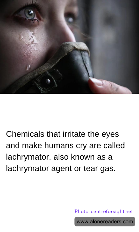 General Knowledge Learning Cards