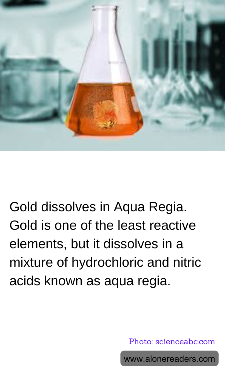 General Knowledge Learning Cards