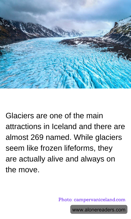 General Knowledge Learning Cards