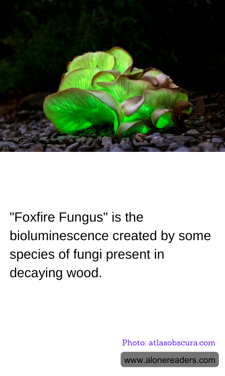 General Knowledge Learning Cards