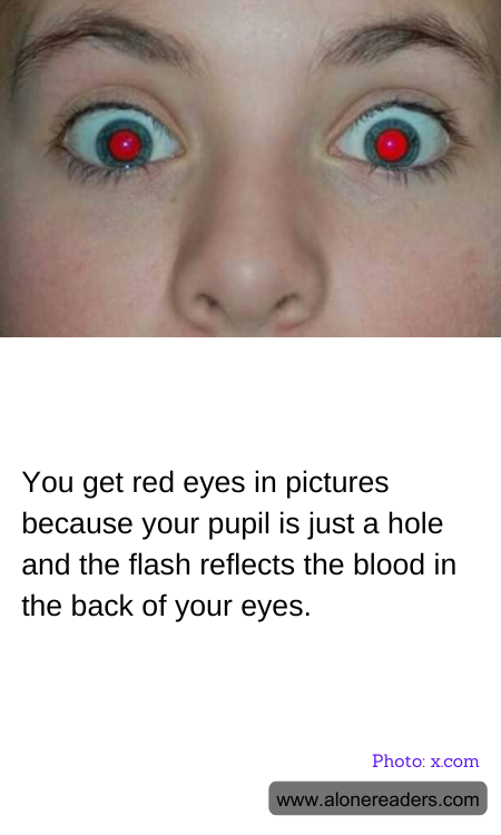 General Knowledge Learning Cards