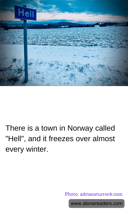 General Knowledge Learning Cards