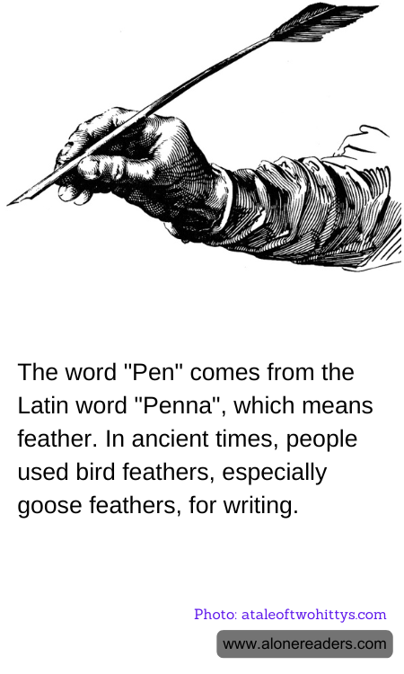 The word "Pen" comes from the Latin word "Penna", which means feather. In ancient times, people used bird feathers, especially goose feathers, for writing.