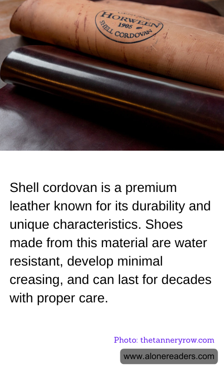 General Knowledge Learning Cards