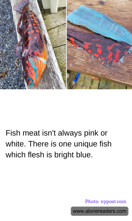 General Knowledge Learning Cards