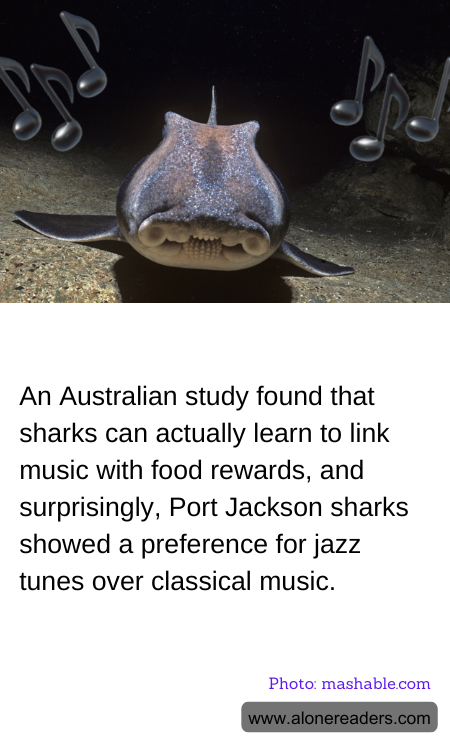 General Knowledge Learning Cards