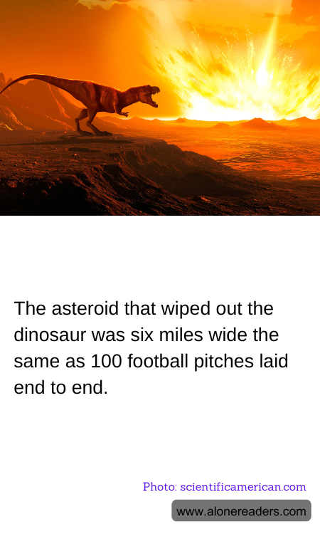 The asteroid that wiped out the dinosaur was six miles wide the same as 100 football pitches laid end to end.