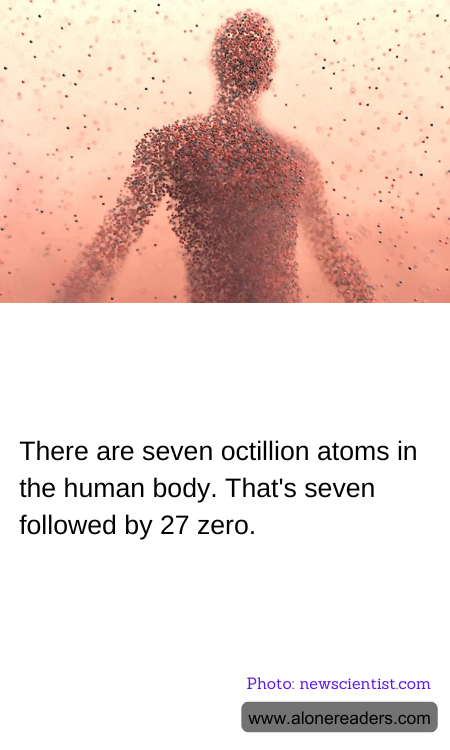 General Knowledge Learning Cards