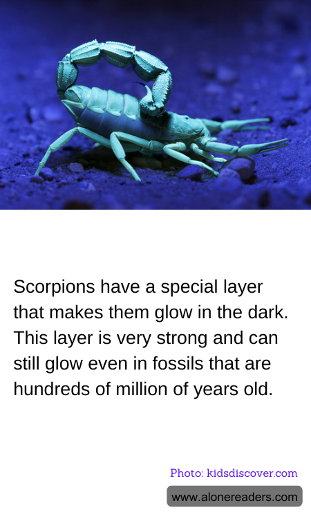 Scorpions have a special layer that makes them glow in the dark. This layer is very strong and can still glow even in fossils that are hundreds of million of years old.