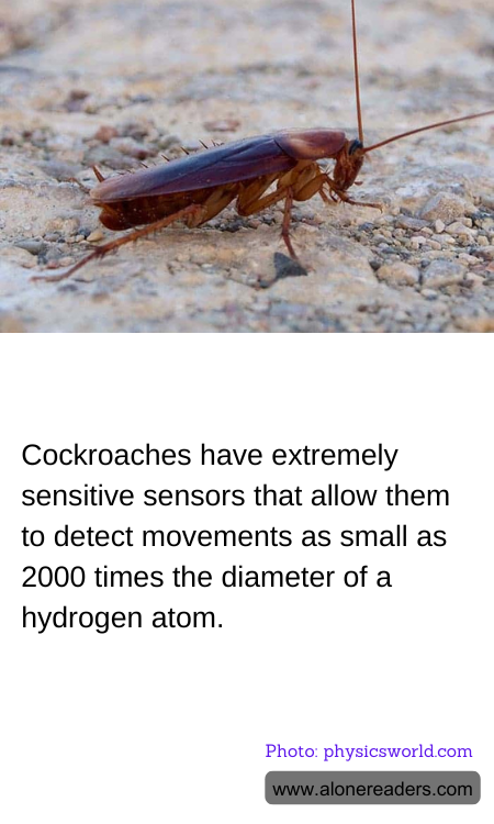 General Knowledge Learning Cards