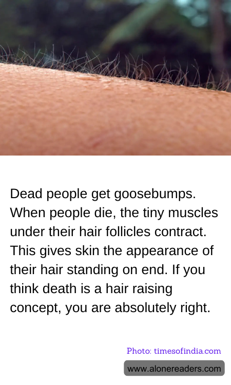 General Knowledge Learning Cards