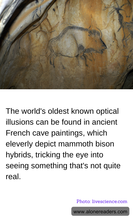 General Knowledge Learning Cards