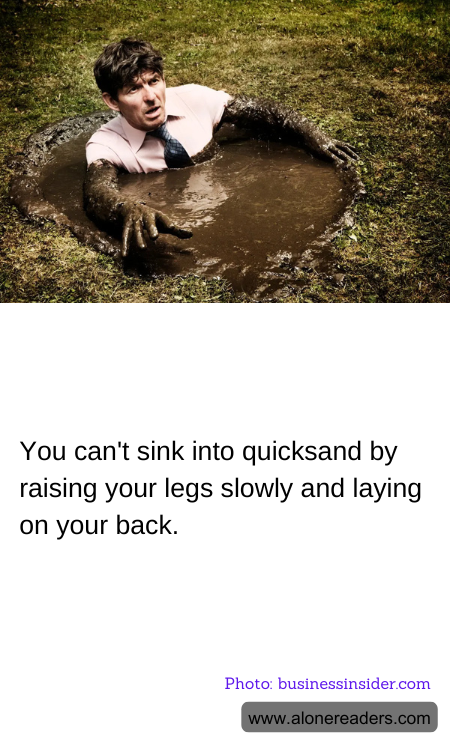 General Knowledge Learning Cards